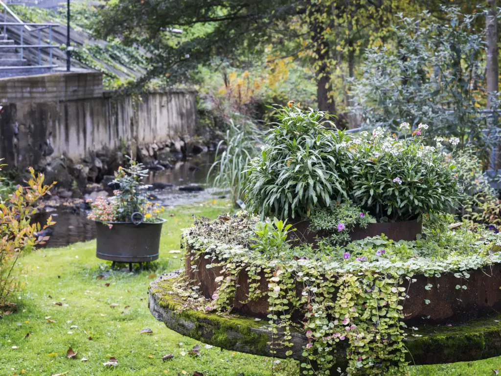 Rund blomrabatt på gräsmattan vid ån